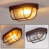 Catawba Plafoniera Ruggine, 1-Luce