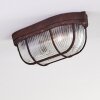 Catawba Plafoniera Ruggine, 1-Luce