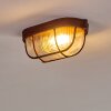 Catawba Plafoniera Ruggine, 1-Luce