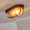 Catawba Plafoniera Ruggine, 1-Luce