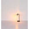 NOWA Jack lampada da tavolo moderna E14, 40 Watt, 35 cm, con cavo e interruttore