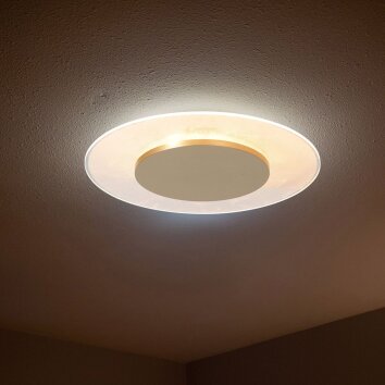 Steinhauer Lido plafoniera da soffitto LED rotonda Ø 28 cm 12W 2700K 1100 lm
