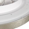 Steinhauer Plafoniera LED moderna Flady, rotonda piatta, 2700 Kelvin bianco caldo, in argento