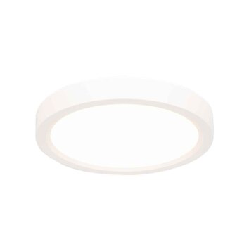 Steinhauer Luminix plafoniera LED soffitto ad anello rotonda moderna ø 20 cm