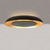 Steinhauer Plafoniera rotonda Golden Veil, LED moderna, dimmerabile, 2700 Kelvin