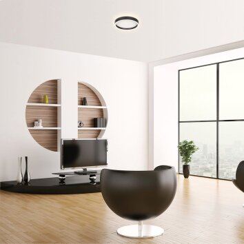 Steinhauer Ringlux plafoniera LED rotonda da soffitto Ø 30 cm, 20 W, 2500 lm, 2700 K