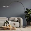Steinhauer Ringlux lampada da terra ad arco LED regolabile 20W 4000lm 2200-2600-3000K