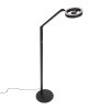 Steinhauer Ringlux lampada da terra LED da lettura orientabile 2700 K 1000 lm 5 W