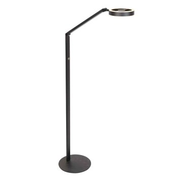 Steinhauer Ringlux lampada da terra LED da lettura orientabile 2700 K 1000 lm 5 W