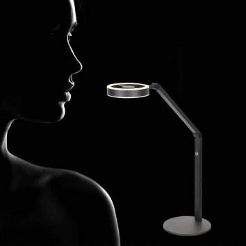Steinhauer Ringlux lampada da tavolo LED regolabile, lampada da lettura moderna