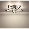 Globo Lavonne plafoniera LED moderna a petali, lampada da soffitto design floreale