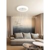 Globo Ferrell plafoniera LED rotonda con telecomando 1650 lm 2700-6500 K 15 W