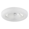 Globo Ferrell plafoniera LED rotonda con telecomando 1650 lm 2700-6500 K 15 W