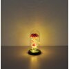 Globo Rosalina lampada decorativa LED, lampada da tavolo a campana con rosa, 20 luci LED