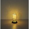 Globo Rosalina lampada decorativa LED, lampada da tavolo a campana con rosa, 20 luci LED