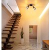 Globo Paula plafoniera a 2 spot lampada da soffitto moderna per soggiorno e corridoio