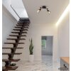 Globo Paula plafoniera a 2 spot lampada da soffitto moderna per soggiorno e corridoio