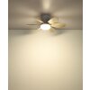 Globo Delores LED ventilatore da soffitto con luce e telecomando, diametro 51 cm