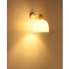 Globo Swanson Applique da parete moderna per soggiorno e corridoio E27 40W