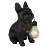 Globo DOGLI LED lampada solare cane bulldog decorativa per esterno 3000 Kelvin 6 Watt