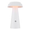 Globo MIRALIE lampada solare da esterno, lampada solare da giardino LED per vialetto