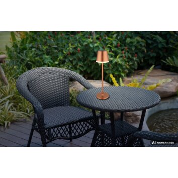 Globo VANNIESO LED lampada solare da tavolo per esterno, 10 LED, moderna