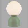 SCHÖNER WOHNEN-Kollektion RUDI lampada da tavolo LED sferica 3000-6000 Kelvin 140 Lumen 1,2 Watt
