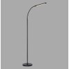 Paul Neuhaus LED lampada da terra ELLY orientabile, luce regolabile 2700-5000 Kelvin