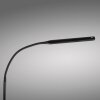 Paul Neuhaus LED lampada da terra ELLY orientabile, luce regolabile 2700-5000 Kelvin