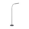 Paul Neuhaus LED lampada da terra ELLY orientabile, luce regolabile 2700-5000 Kelvin