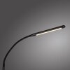 Paul Neuhaus LED lampada da terra ELLY orientabile, luce regolabile 2700-5000 Kelvin