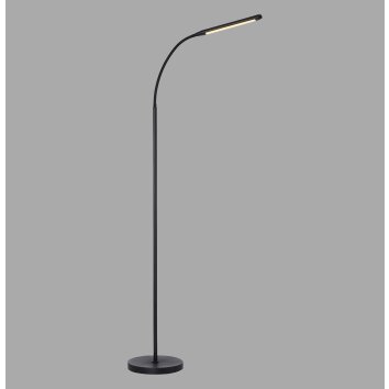 Paul Neuhaus LED lampada da terra ELLY orientabile, luce regolabile 2700-5000 Kelvin