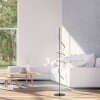 Leuchten Direkt lampada da terra Emanda, LED con spirale ottone, 3000 Kelvin bianco caldo