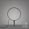 Leuchten Direkt Lampada esterna con picchetto ZIRKULU, anello LED, per terrazza e balcone