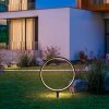 Leuchten Direkt Lampada esterna con picchetto ZIRKULU, anello LED, per terrazza e balcone