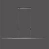 Paul Neuhaus sospensione BACALIA, temperatura di colore regolabile 2700-5000 Kelvin