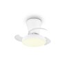 Reality plafoniera con ventilatore LED Moss, dimmerabile, luce regolabile 2700-6500 Kelvin