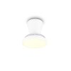 Reality plafoniera con ventilatore LED Moss, dimmerabile, luce regolabile 2700-6500 Kelvin