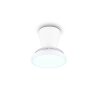 Reality plafoniera con ventilatore LED Moss, dimmerabile, luce regolabile 2700-6500 Kelvin