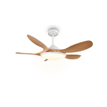 Reality plafoniera LED Flen, dimmerabile con telecomando, luce regolabile 2700-6500 Kelvin