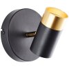 Brilliant faretto da parete Vigolo con testa cilindrica inclinabile, luce calda 3000 Kelvin
