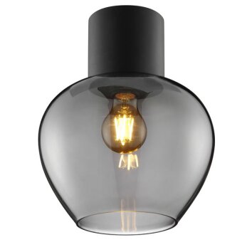 Brilliant Plafoniera moderna Ligari con paralume in vetro grigio fumo a forma di goccia