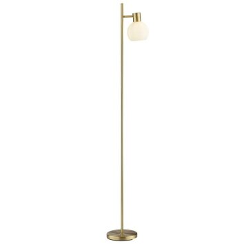 Brilliant Lampada da terra Cony, braccio laterale, paralume bianco, metallo color ottone