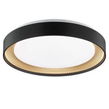 Brilliant plafoniera LED Waldo, temperatura di colore regolabile 3000-6500 Kelvin