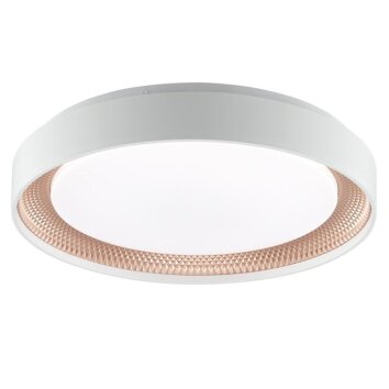 Brilliant plafoniera LED Waldo dimmabile via telecomando, luce regolabile 3000-6500 Kelvin