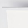 Brilliant Leuchten plafoniera LED quadrata Trevis moderna bianca, luce neutra 4000 Kelvin