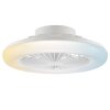 Brilliant plafoniera LED Montero con ventilatore, luce CCT regolabile 2700-6500 Kelvin