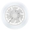 Brilliant plafoniera LED Montero con ventilatore, luce CCT regolabile 2700-6500 Kelvin
