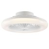 Brilliant plafoniera LED Montero con ventilatore, luce CCT regolabile 2700-6500 Kelvin
