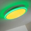 BERMEO Plafoniera LED Bianco, 2-Luci, Telecomando, Cambia colore